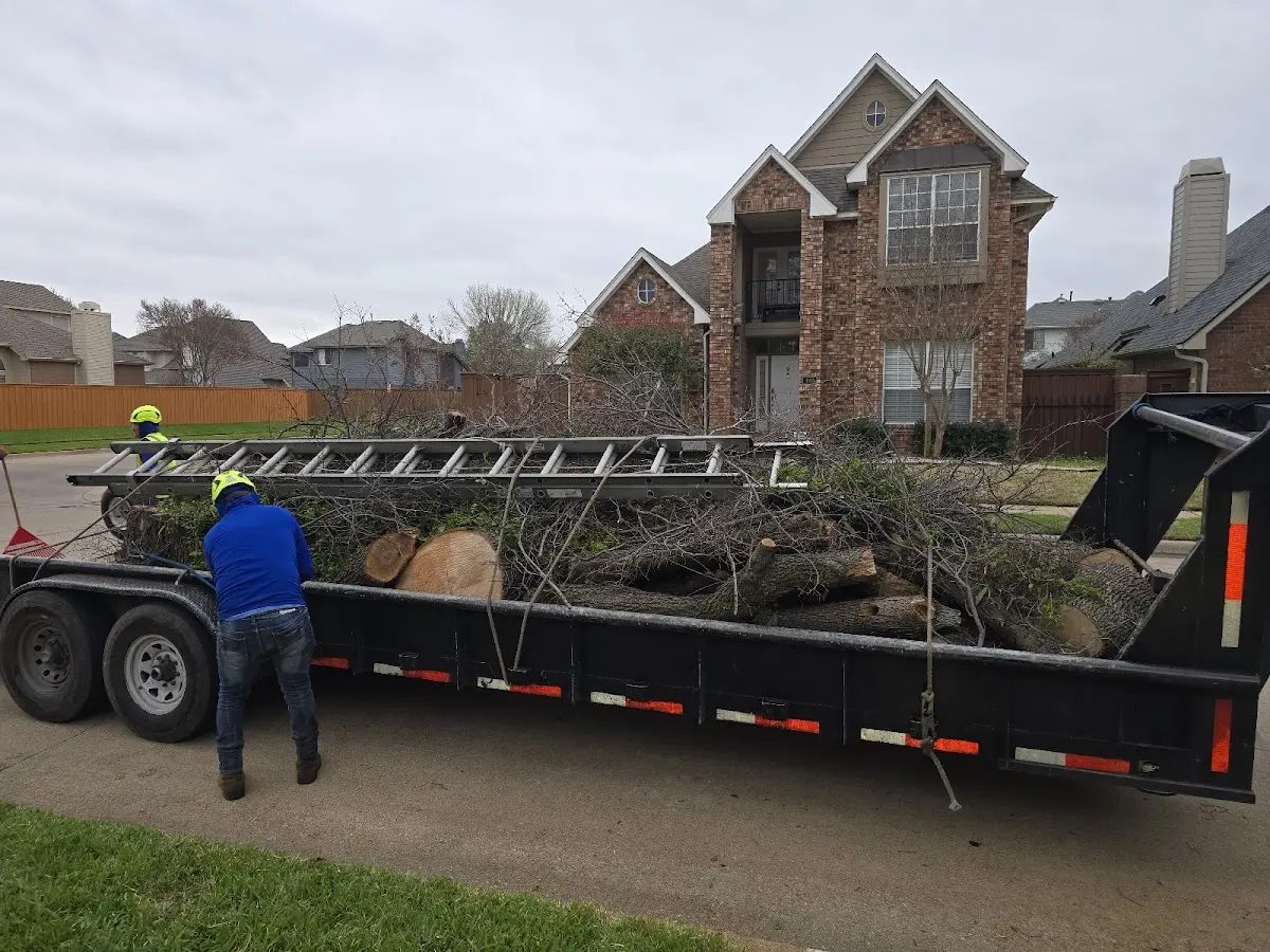 Expert Tree Removal with proper safety equipment in Gramercy
